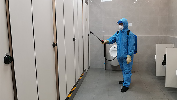 螞蟻、臭蟲滅殺