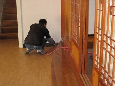 家里有該白蟻怎么辦？